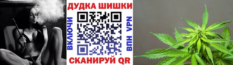 Бошки марихуана AK-47  ссылка на мегу tor  Лодейное Поле  где купить наркоту 